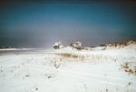 Dune Erosion, Santa Rosa Island, Fl. [1]
