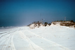 Dune Erosion after Hurricane Opal on Santa Rosa Island, Florida, G