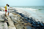 Oil at South Side of Johns Pass, Fla by Richard A. Davis