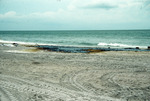 Oil above Foreshore at Madeira Beach, Florida by Richard A. Davis