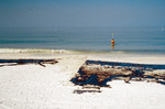 Oil Above Berm at South End of Treasure Island, Fla by Richard A. Davis