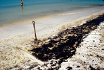Oil & Beach at Lknw Long Key by Richard A. Davis