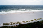 Nourished beach Amelia Island '97 by Richard A. Davis and University of South Florida -- Tampa Library