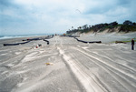 Nourished beaches and protected condos Amelia Island '97 by Richard A. Davis and University of South Florida -- Tampa Library
