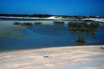 North - flood side of Matanzas Inlet, Fla by Richard A. Davis and University of South Florida -- Tampa Library