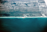 Near Naples, Florida by Richard A. Davis and University of South Florida -- Tampa Library