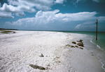 North Beach at South Seas Plantation, Captiva, Florida by Richard A. Davis