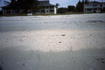 Mixed sand and shell beach by Richard A. Davis and University of South Florida -- Tampa Library