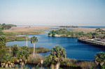 Marshy Coast at Crystal River, Fla by Richard A. Davis and University of South Florida -- Tampa Library