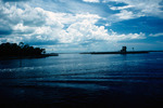 Marsh Island Near Mouth of Weeki Wachee River by Richard A. Davis and University of South Florida -- Tampa Library