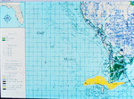Oil spill August 1993 [1] by Richard A. Davis and University of South Florida -- Tampa Library