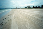 Sand and beach polluted with oil [1] by Richard A. Davis and University of South Florida -- Tampa Library