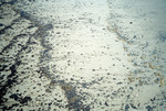 Oil Spill [3] by Richard A. Davis