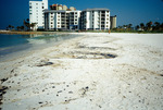Oil Spill Profiles Upham Beach [1] by Richard A. Davis