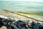 Oil on Rip Rap at South Side of Johns Pass by Richard A. Davis