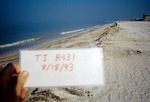 Oil Spill Surveys [treasure Island] Ti-r131 [1] by Richard A. Davis