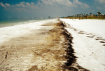 Oil In Runnel at Pass-a-grille Beach by Richard A. Davis