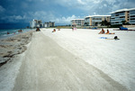 Oil-polluted beach in Pinellas County, Florida [1] by Richard A. Davis and University of South Florida -- Tampa Library
