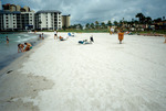 Oil-polluted beach in Pinellas County, Florida [3] by Richard A. Davis and University of South Florida -- Tampa Library