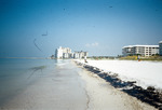 Sand and beach polluted with oil [2] by Richard A. Davis and University of South Florida -- Tampa Library