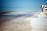 Oil-polluted beach along the Gulf of Mexico in Pinellas County, Florida [1] by Richard A. Davis and University of South Florida -- Tampa Library