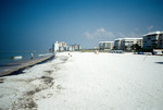 Oil-polluted beach along the Gulf of Mexico in Pinellas County, Florida [2] by Richard A. Davis and University of South Florida -- Tampa Library