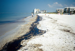 Oil-polluted beach and Gulf of Mexico in Pinellas County, Florida by Richard A. Davis and University of South Florida -- Tampa Library