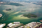 Oil-polluted Boca Ciega Bay near Johns Pass by Richard A. Davis and University of South Florida -- Tampa Library