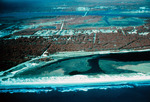 Old inlet at Anastasia Island State Park, FL by Richard A. Davis and University of South Florida -- Tampa Library