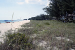Old shoreline at PBC by Richard A. Davis and University of South Florida -- Tampa Library