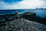 Oyster Reef at Mouth of Crystal River, Fla. [1] by Richard A. Davis and University of South Florida -- Tampa Library