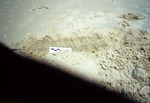 Sand polluted with oil on Long Key, Saint Pete Beach [3] by Richard A. Davis and University of South Florida -- Tampa Library