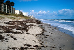 Steep beach near Melbourne, Fl by Richard A. Davis and University of South Florida -- Tampa Library