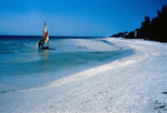 Shallow sand bars at south end of Sanibel Island, Fl by Richard A. Davis and University of South Florida -- Tampa Library