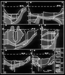 stratigraphy sections by Richard A. Davis and University of South Florida -- Tampa Library
