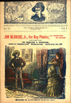 Jim Bludsoe, Jr., the boy phenix; or, Through to death
