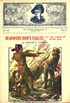 Deadwood Dick's eagles; or, The pards of Flood Bar by Edward Lytton Wheeler