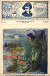 Deadwood Dick's dream, or, The rivals of the road : a mining tale of 