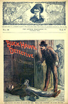 Buck Hawk, detective, or, The messenger boy's fortune by Edward L. (Lytton) Wheeler