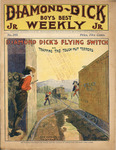 Diamond Dick's flying switch; or, Trapping the tough nut terrors by W. B. Lawson
