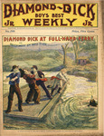 Diamond Dick at Full-Hand Ferry; or, Rough work on Rapid River by W. B. Lawson