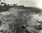 Low Tide at Bayshore Boulevard near Howard Ave, Tampa by Hampton Dunn