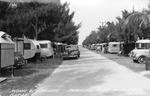 Avenue of trailers, Municipal Park, Punta Gorda, Florida by Hampton Dunn