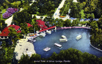 Aerial view of Silver Springs, Florida by Hampton Dunn