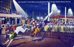 Hurdle", final race of the evening, West Flagler Track, Miami, Florida by Hampton Dunn
