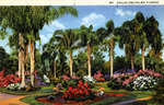 Azaleas and Palms, Florida by Hampton Dunn