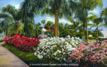 A Beautiful azalea garden and palms in Florida