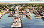 Aerial view of Pensacola, Florida by Hampton Dunn