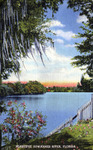 Beautiful Suwannee River, Florida by Hampton Dunn