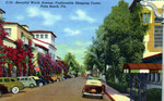 Beautiful Worth Avenue, fashionable shopping center, Palm Beach, Florida by Hampton Dunn